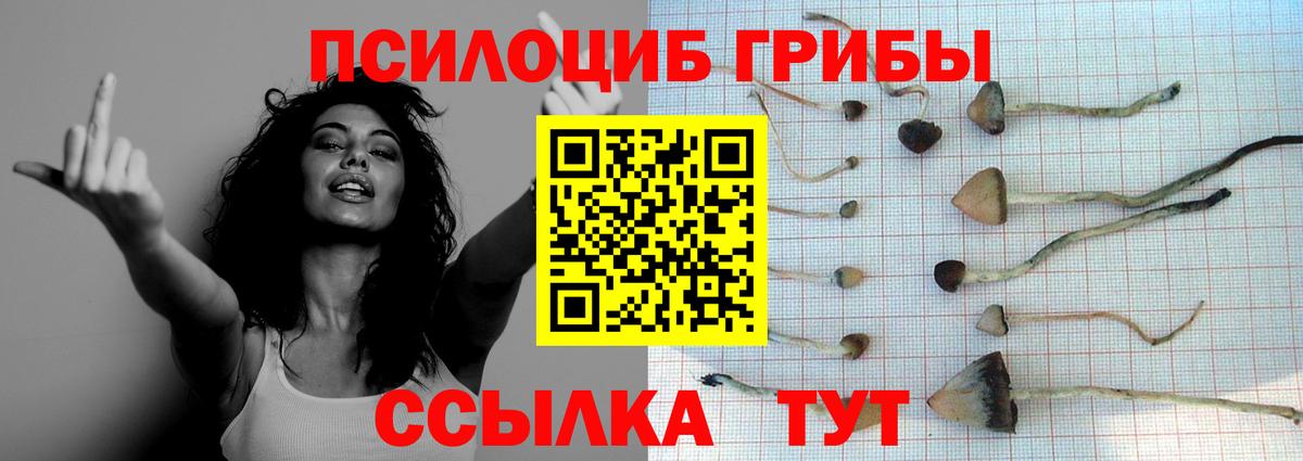 Галлюциногенные грибы MAGIC MUSHROOMS Благодарный